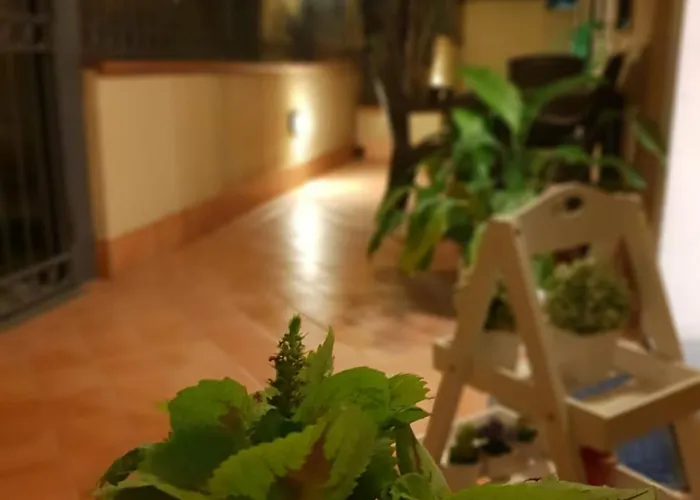 לינה וארוחת בוקר Dimoramuri 4*